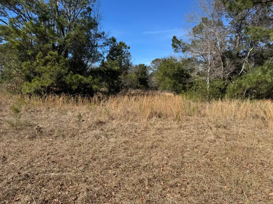 280 Lighthouse Lane, Green Pond, SC 29446 - #2