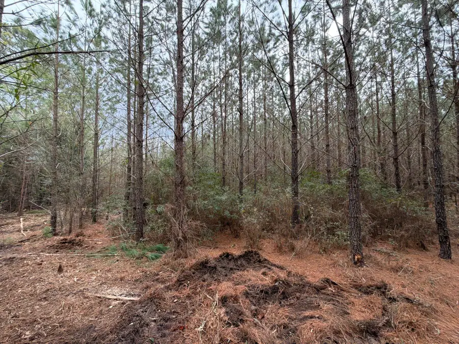 Bff Ii 2 J C Barefoot Road #Bff Ii 2, Patrick, SC 29584 - #3