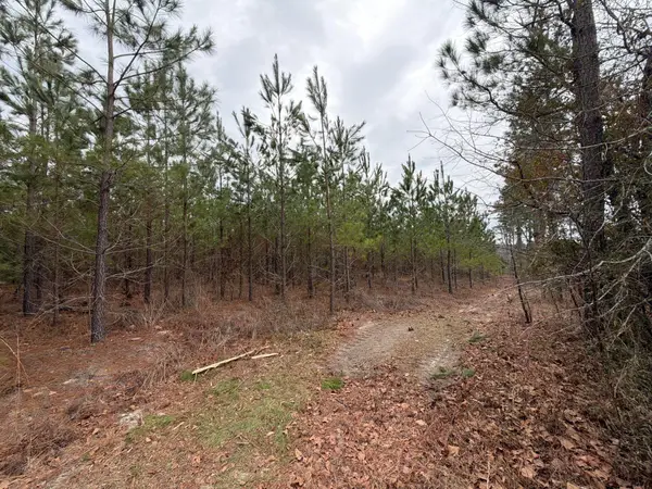 Bff Ii 3 J C Barefoot Road, Patrick, SC 29584