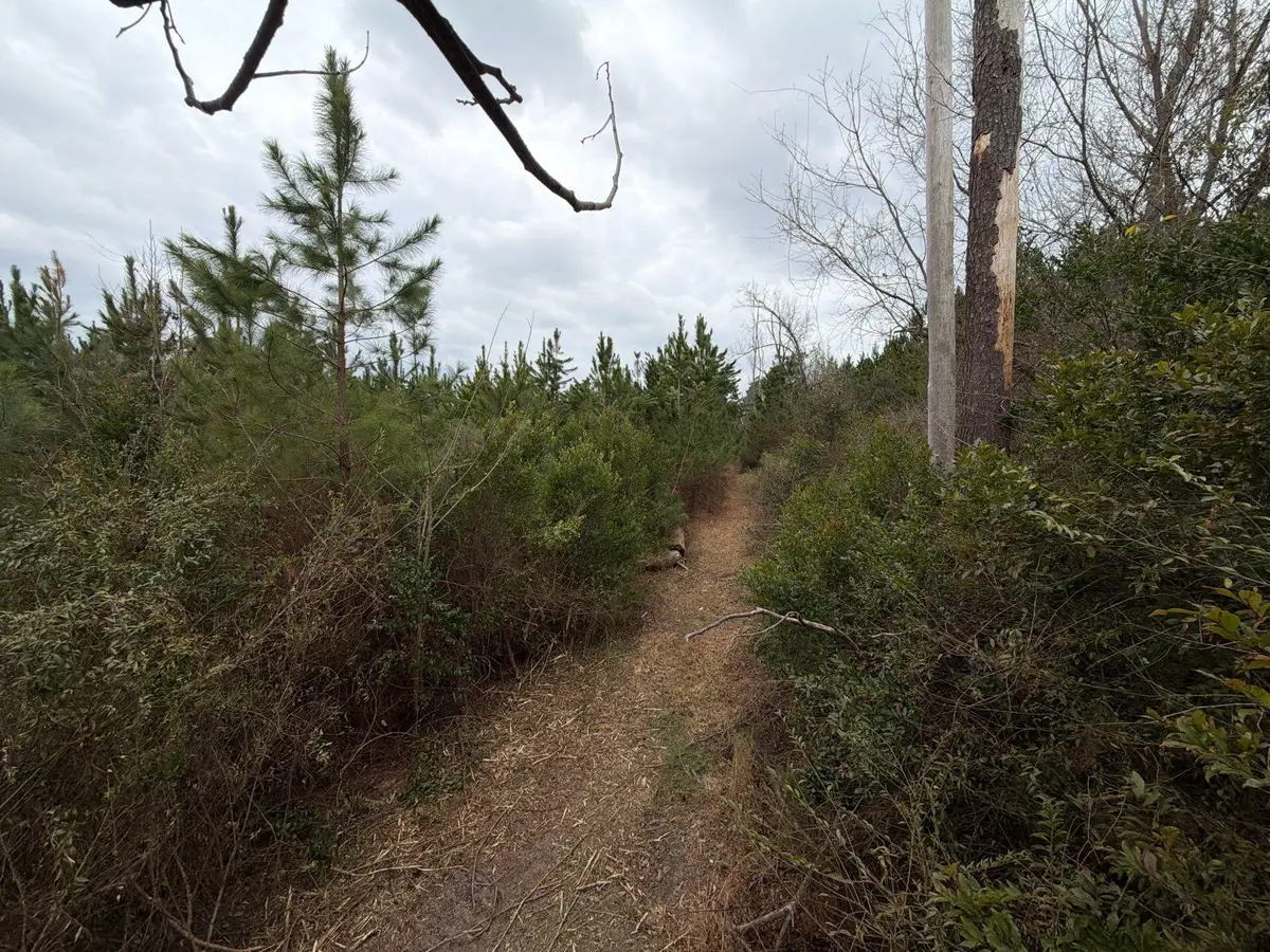 Bff Ii 4 J C Barefoot Road, Patrick, SC 29584 - #1