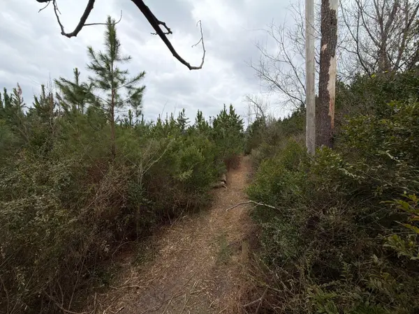 Bff Ii 4 J C Barefoot Road, Patrick, SC 29584