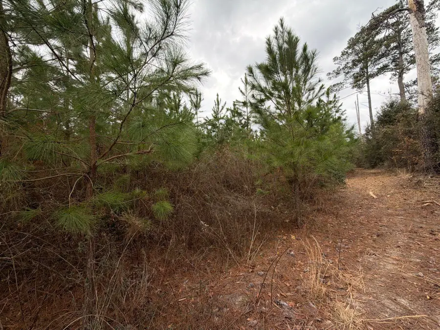 Bff Ii 4 J C Barefoot Road, Patrick, SC 29584 - #3