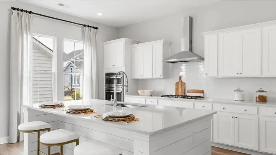 996 Scotch Bonnet Way, Summerville, SC 29485 - #2