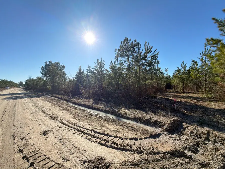 Bff Ii 7 Brunson Teal Rd Road, Patrick, SC 29584 - #3