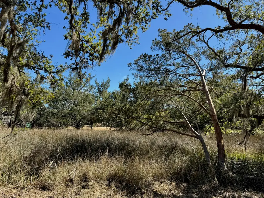 32 Marsh Aire Lane, Edisto Island, SC 29438 - #3