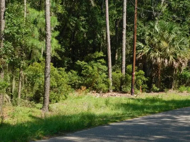 8662 Palmetto Road, Edisto Island, SC 29438 - #3