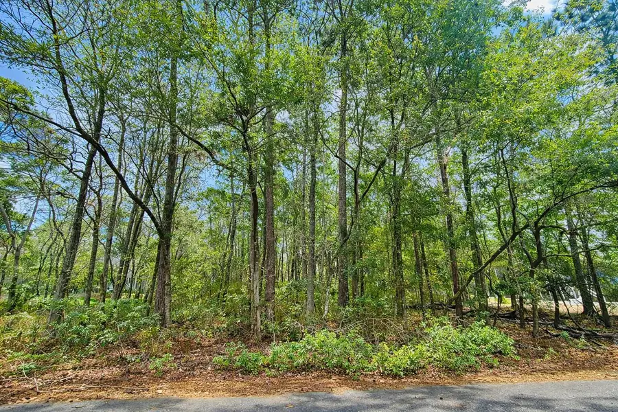 890 Flowers Lane, Edisto Island, SC 29438 - #3