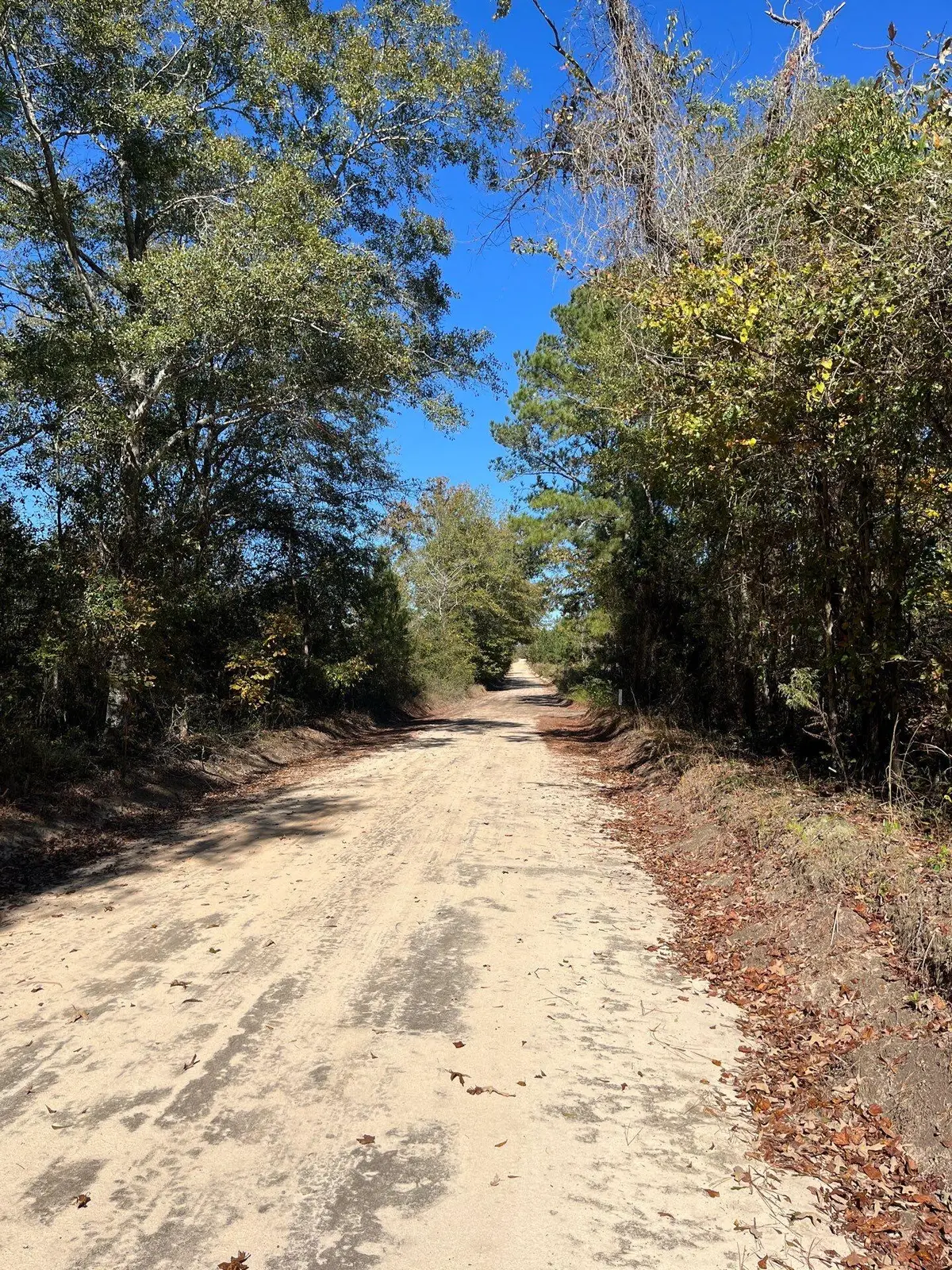 Bhl 4 Boise Cascade #Bhl 4, Bethune, SC 29009 - #1