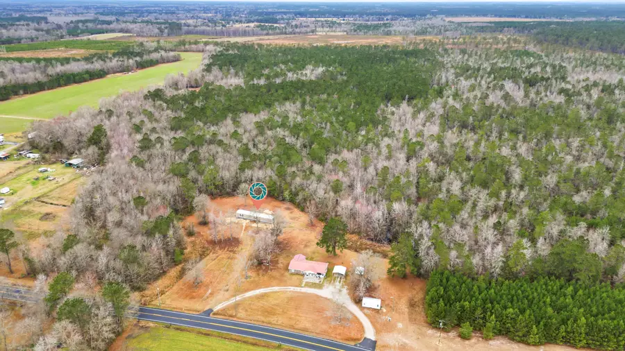 1222 Birch Creek Road, Andrews, SC 29510 - #3
