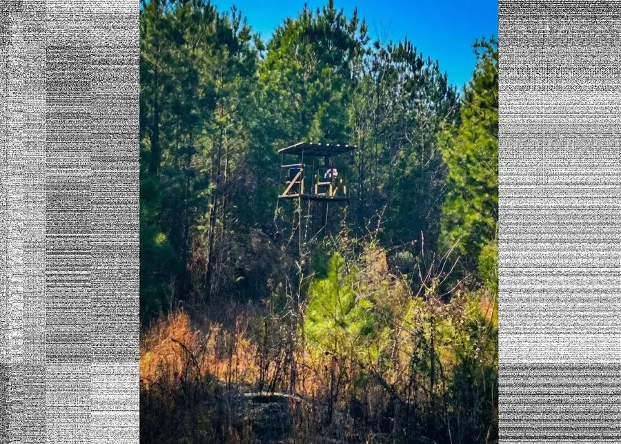 0 Moses Dingle Road, Summerton, SC 29148 - #3