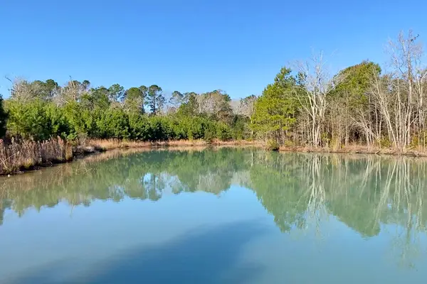 0 Old Pond Road, Johns Island, SC 29455