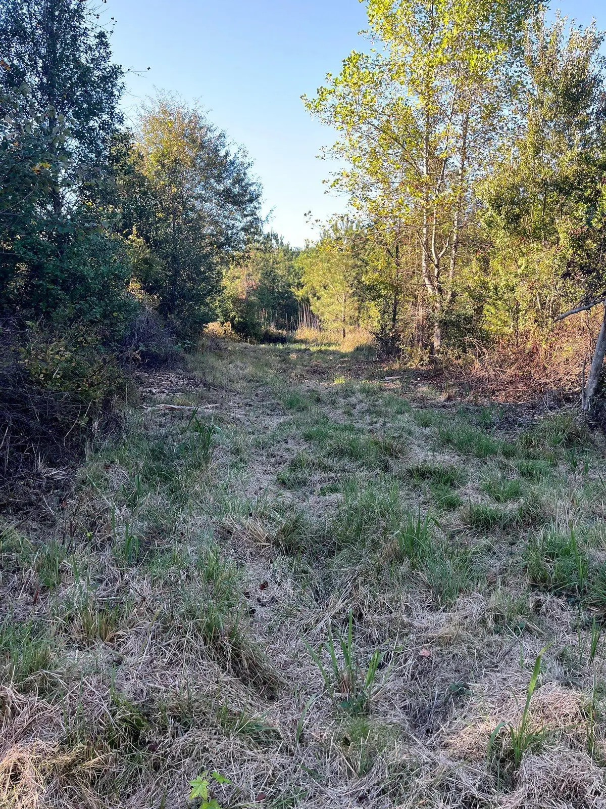 Ppf 12 Payne Pond Road #Ppf 12, Westville, SC 29175 - #1