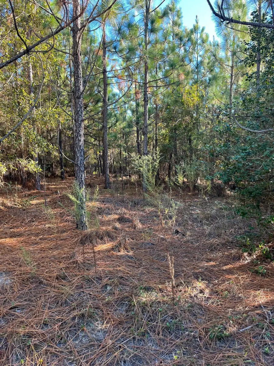 Ppf 12 Payne Pond Road #Ppf 12, Westville, SC 29175 - #3