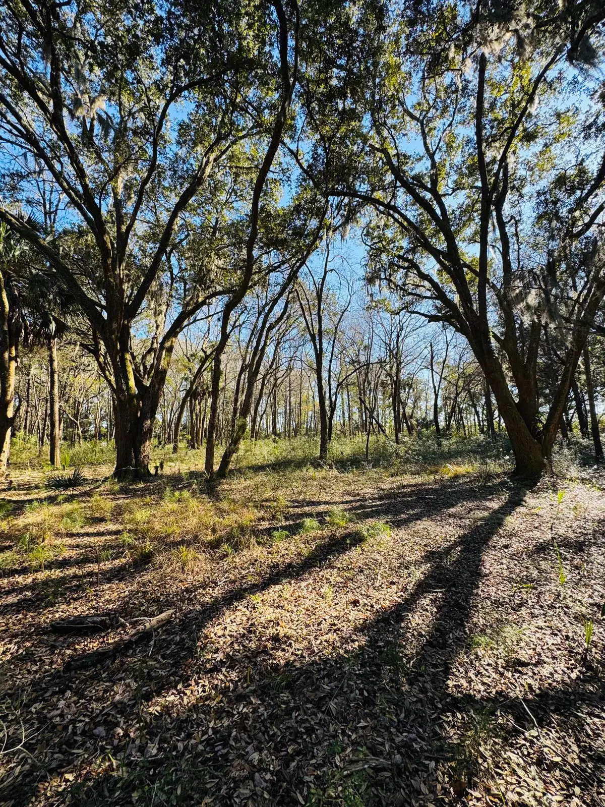 00 Rosa Scott Road, Edisto Island, SC 29438 - #1