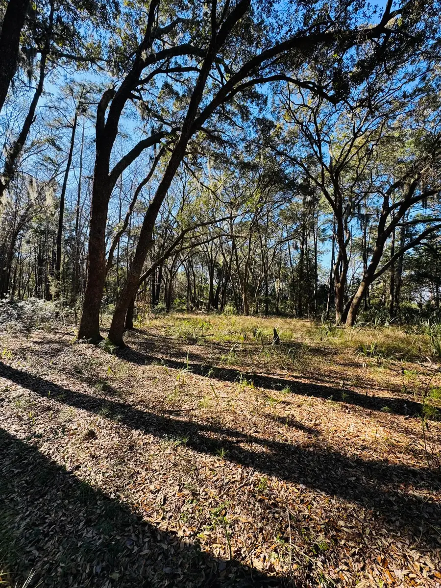00 Rosa Scott Road, Edisto Island, SC 29438 - #3