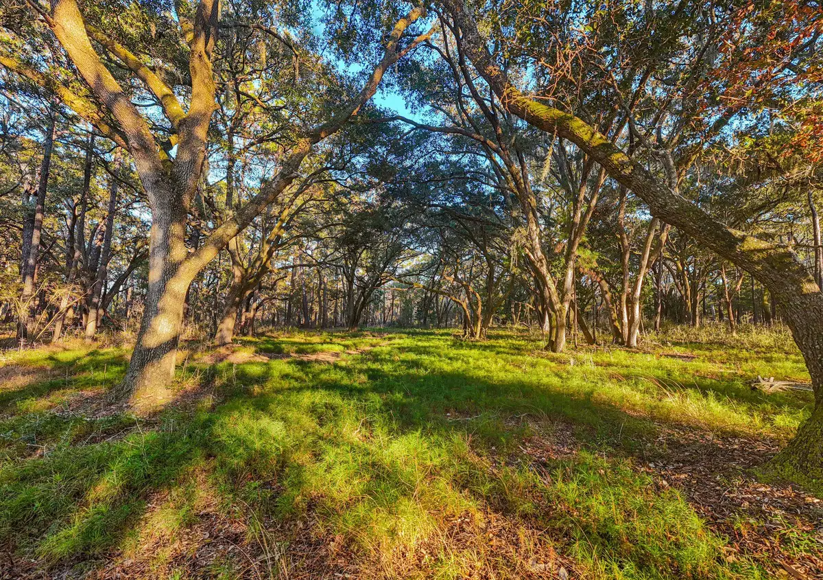 0 King Rail Lane, Edisto Island, SC 29438 - #1