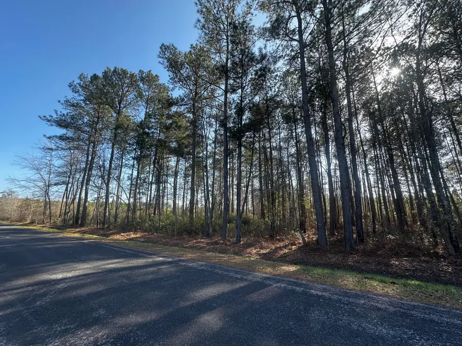 801 Gar Road, Smoaks, SC 29481 - #3