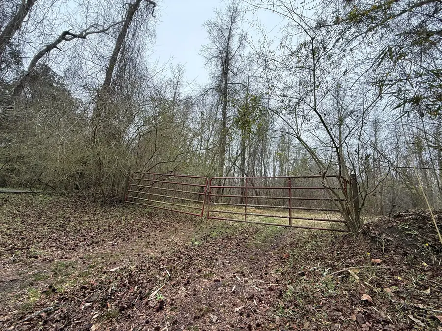 9750 Cottageville Highway, Cottageville, SC 29435 - #2