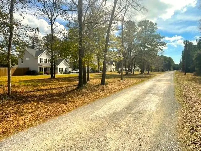 5565 Huckleberry Lane, McClellanville, SC 29458 - #2