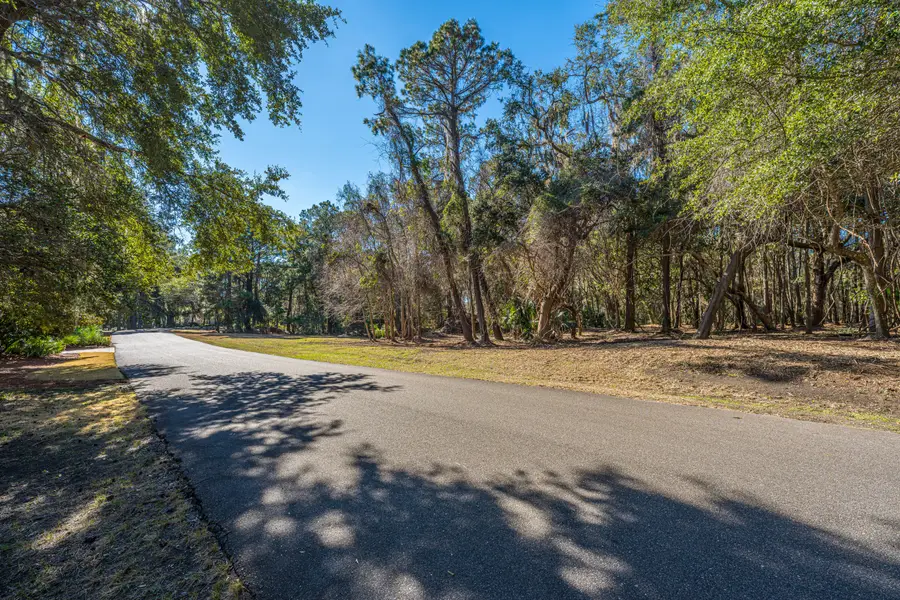 4066 Gnarled Oaks Lane, Johns Island, SC 29455 - #2