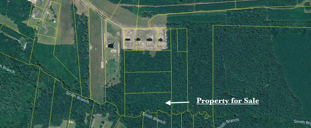 252 Droze Lane, Summerville, SC 29486 - #1