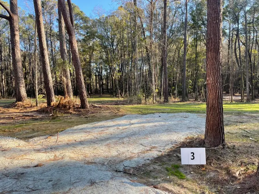 113 Generations Lane, Summerville, SC 29486 - #2