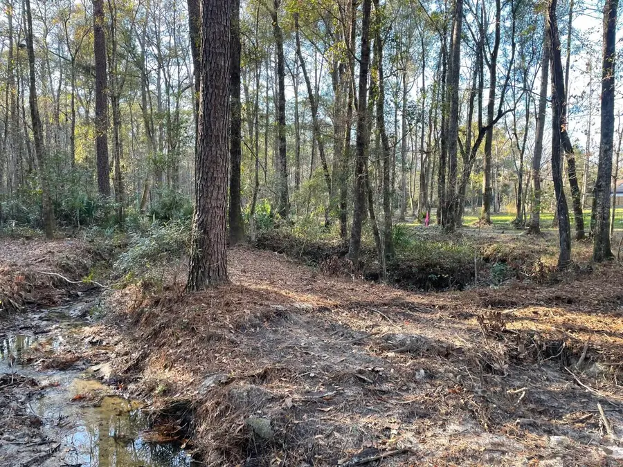 113 Generations Lane, Summerville, SC 29486 - #3