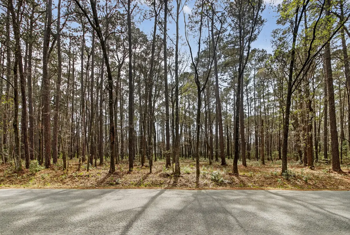 103 Caveson Drive, Summerville, SC 29483 - #1