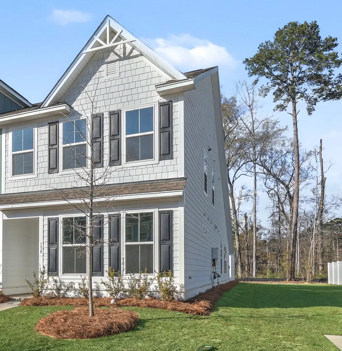 138 Cantona Drive, Summerville, SC 29483 - #1