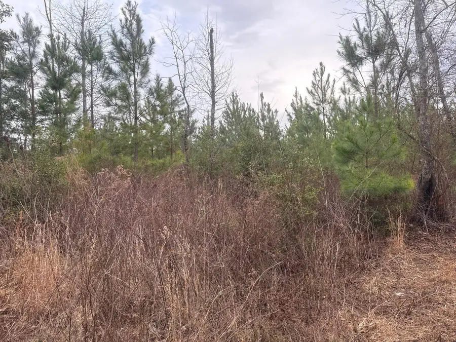 Qbf 12 Nurnberg Dr Road #Qbf 12, Leesville, SC 29070 - #2