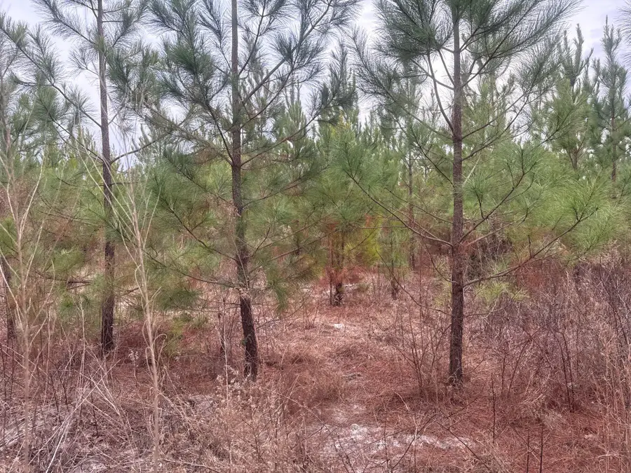 Qbf 12 Nurnberg Dr Road #Qbf 12, Leesville, SC 29070 - #3