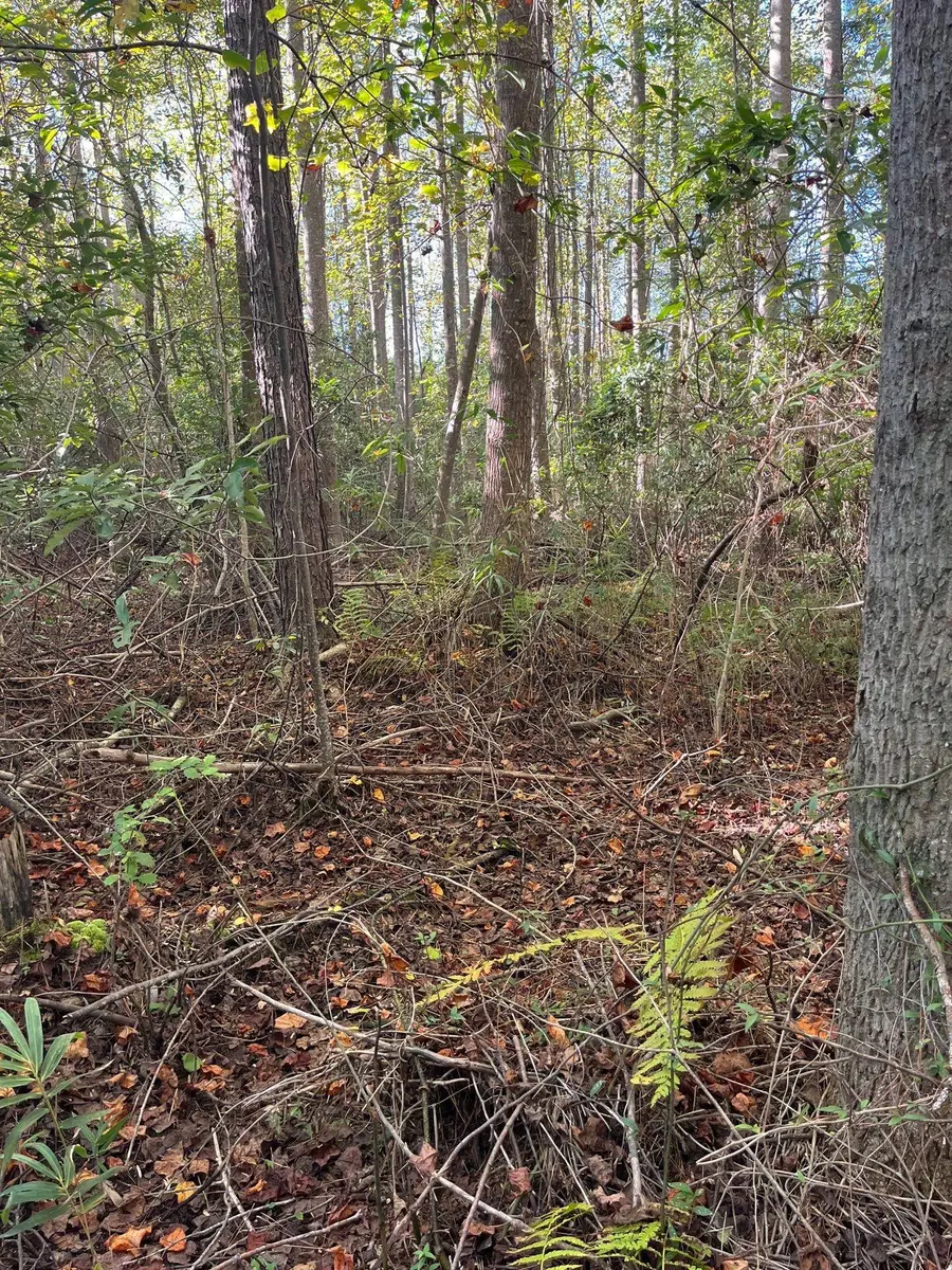 Ppf 18 Payne Pond Road #Ppf 18, Westville, SC 29175 - #2