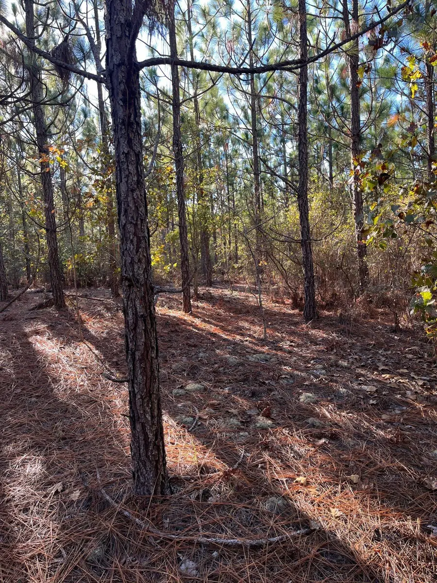 Ppf 18 Payne Pond Road #Ppf 18, Westville, SC 29175 - #3