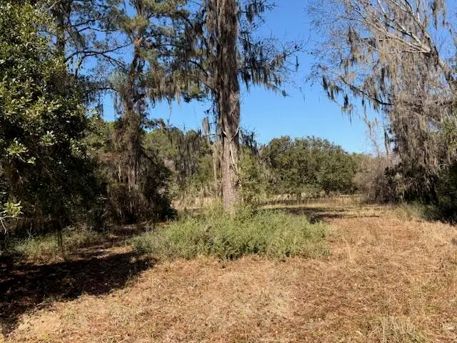 4131 Betsy Kerrison Parkway, Johns Island, SC 29455 - #2