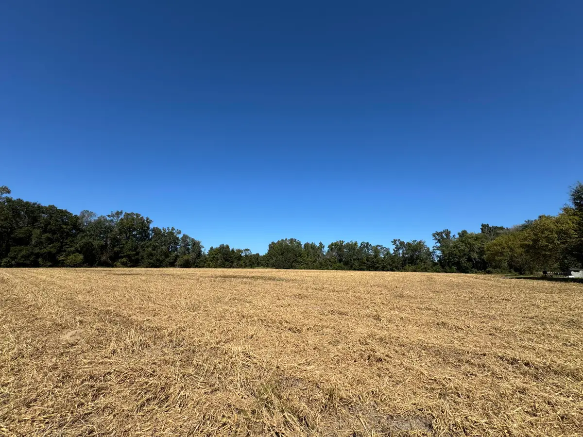 0 Clarks Hill Drive #4, Saint George, SC 29477 - #1