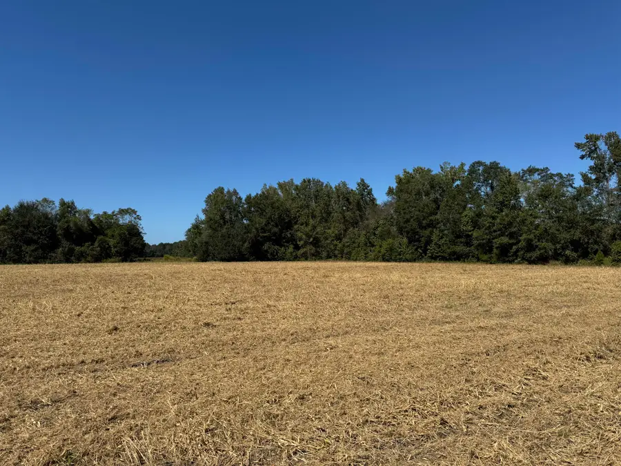 0 Clarks Hill Drive #4, Saint George, SC 29477 - #3