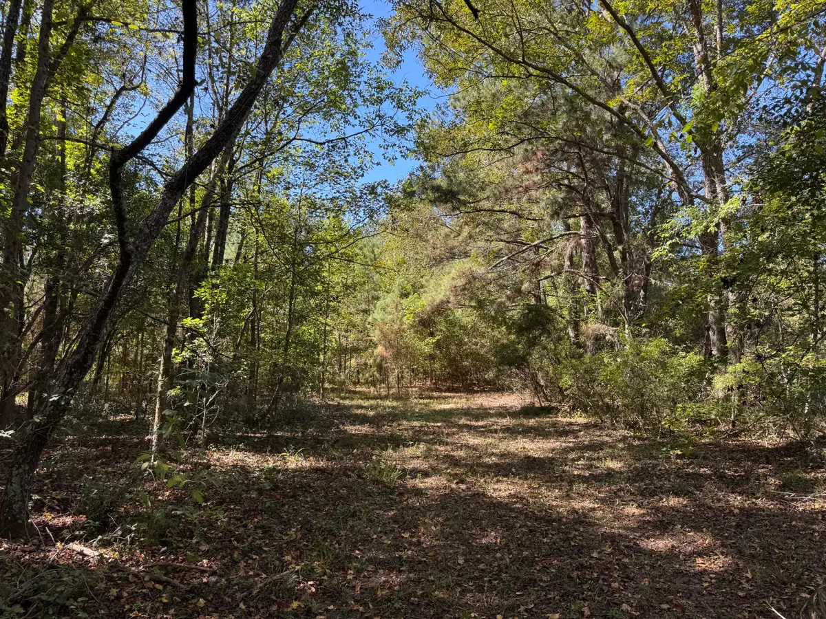 0 Clarks Hill Drive #1, Saint George, SC 29477 - #1