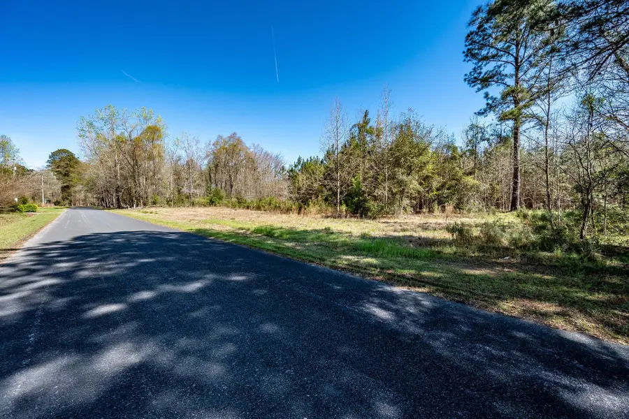 Tbd Buckhead Road, Smoaks, SC 29481 - #2