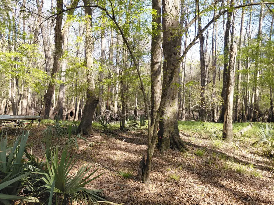 Lot 2 & 3 Gator Cv, Ridgeville, SC 29472 - #3