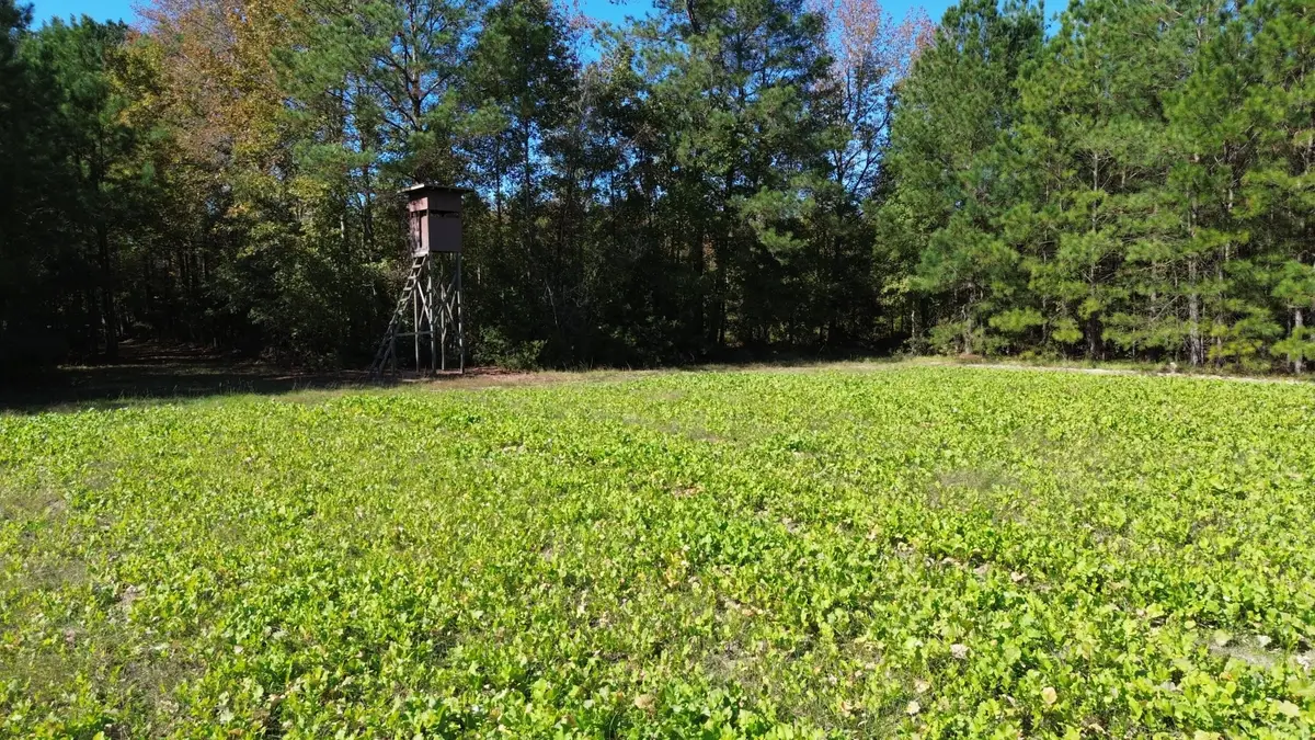 0 U.s. 521, Salters, SC 29590 - #1