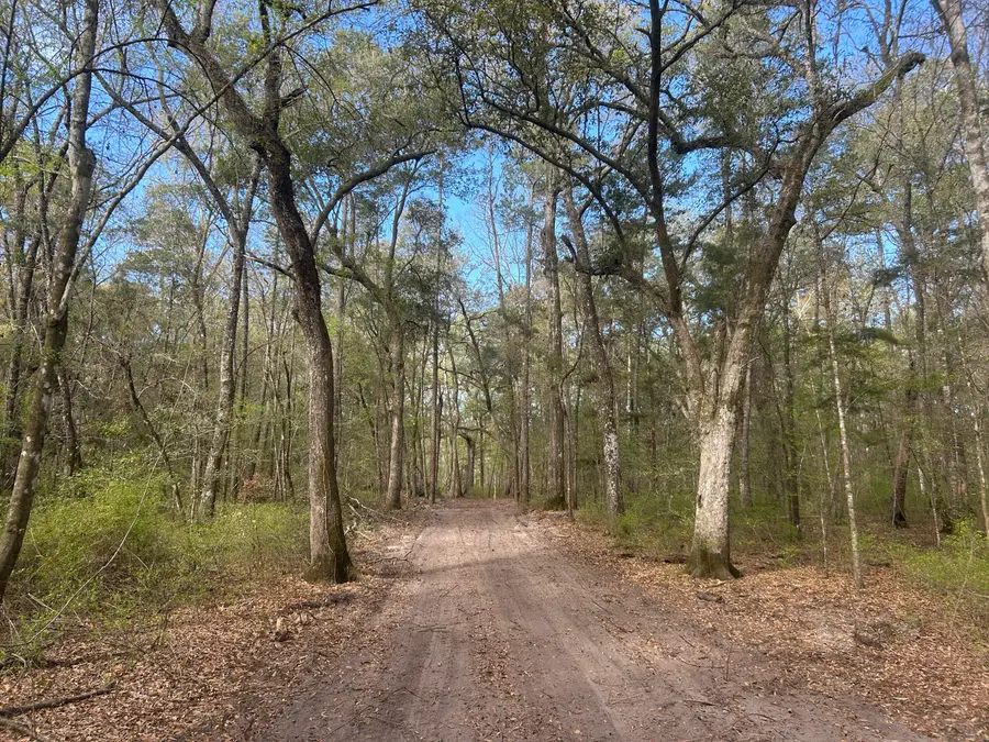 1 Boat Landing Road, Ridgeville, SC 29472 - #2