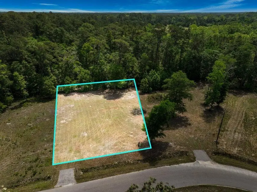 0 Capers Road, Walterboro, SC 29488 - #2