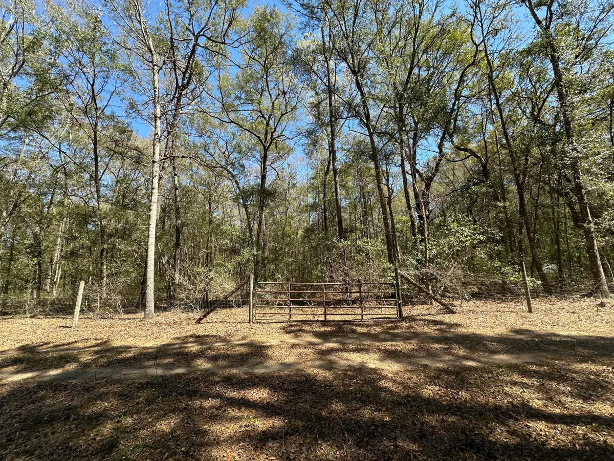 5194 Kuzia Road, Meggett, SC 29449 - #1