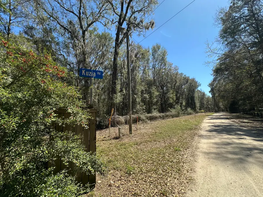 5194 Kuzia Road, Meggett, SC 29449 - #3