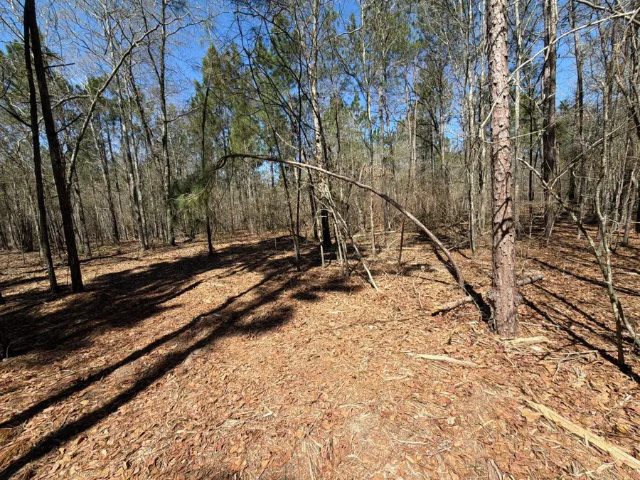 Bhl 13 Boise Cascade #Bhl 13, Bethune, SC 29009 - #3