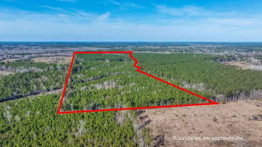 0 Lowcountry Highway, Ruffin, SC 29475 - #2