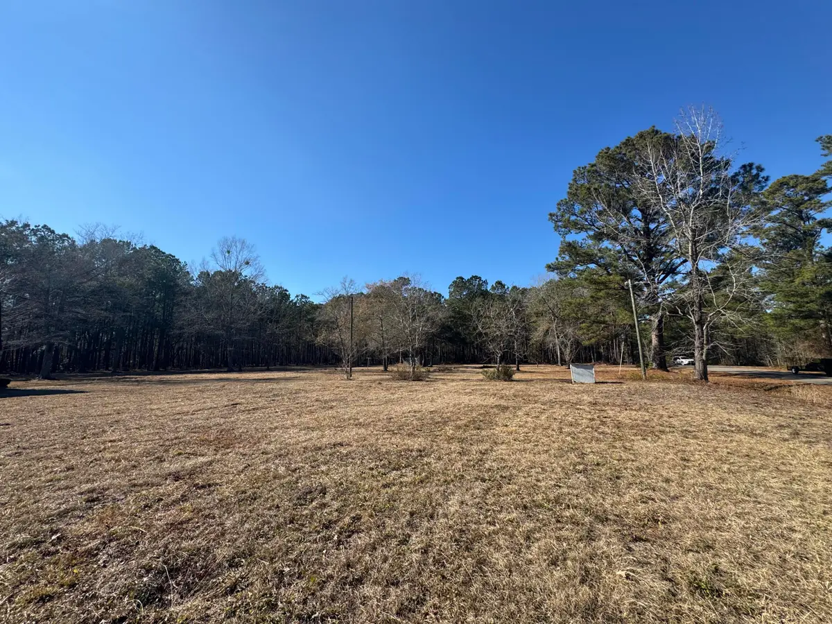 263 Brewer Road, Summerville, SC 29483 - #1