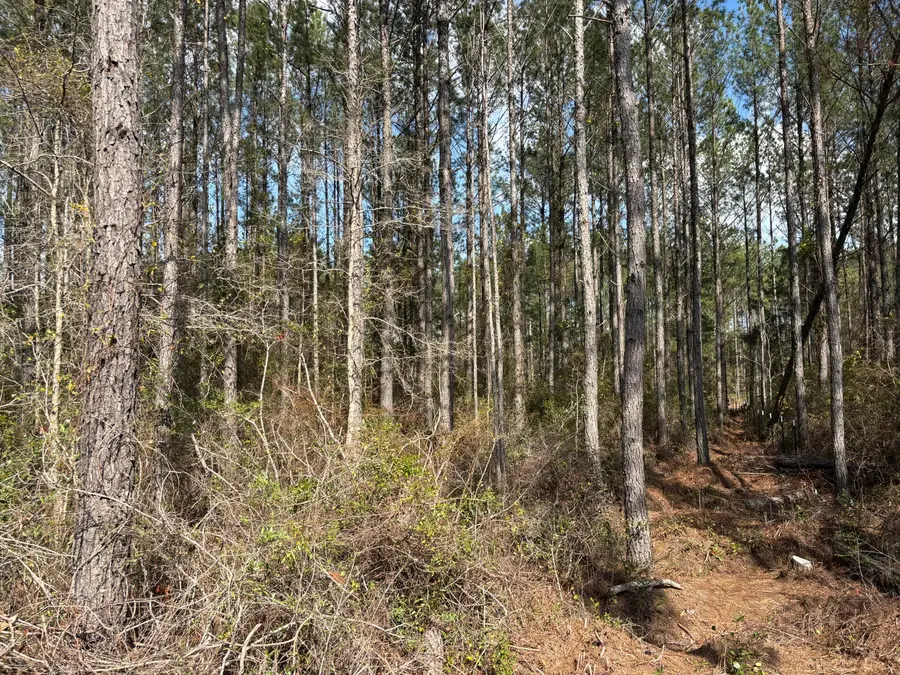 11 Red Oak Road, Cottageville, SC 29435 - #2