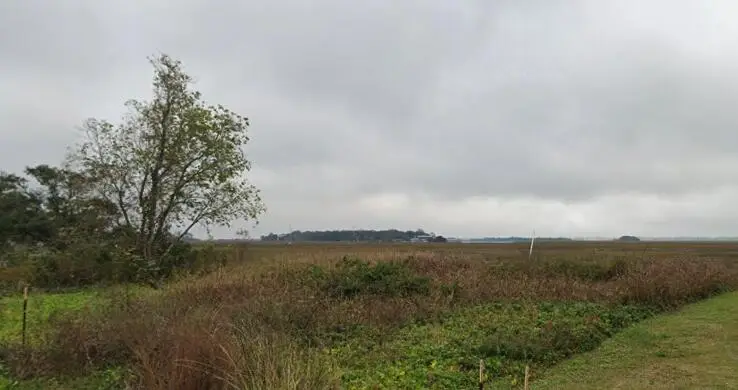 1938 Sol Legare Road, Charleston, SC 29412 - #1