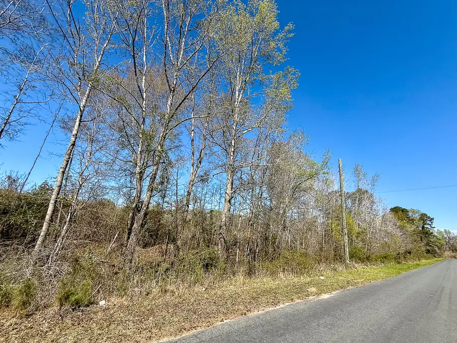 0 S Locust Avenue, Denmark, SC 29042 - #3